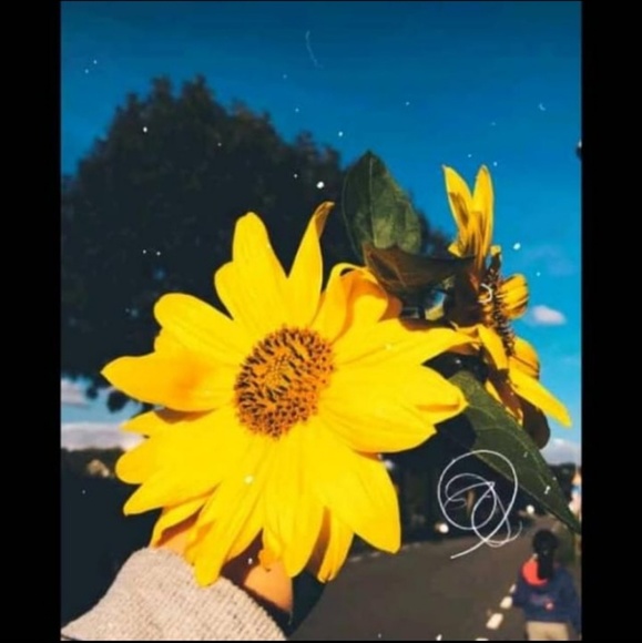 annaica_charles